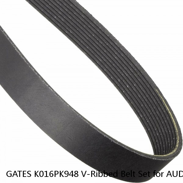 GATES K016PK948 V-Ribbed Belt Set for AUDI,SEAT,SKODA,VW #1 image