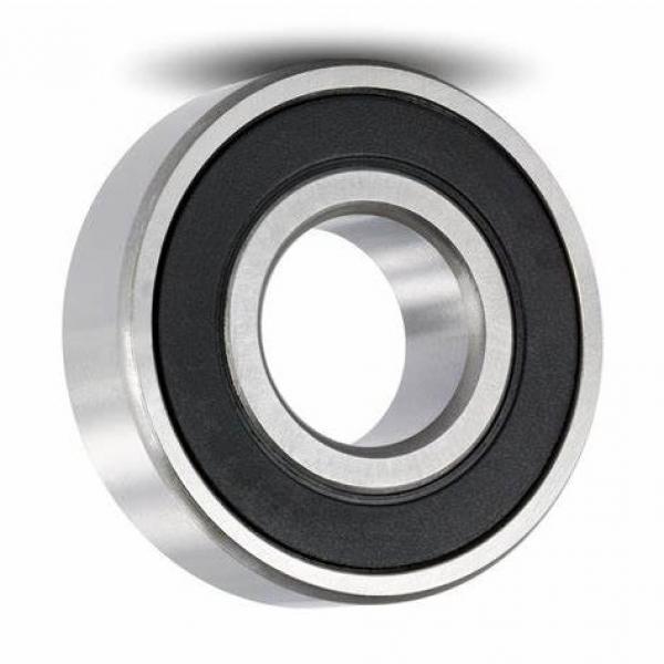 6202 6203 6204 6205 6206 Zz 2RS Motor Ball Bearing #1 image