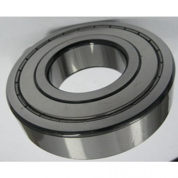 Bal Type and Deep Groove Structure Neutral Bearing #1 image