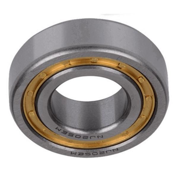 Cylindrical Roller Bearing NN3020K/W33 #1 image