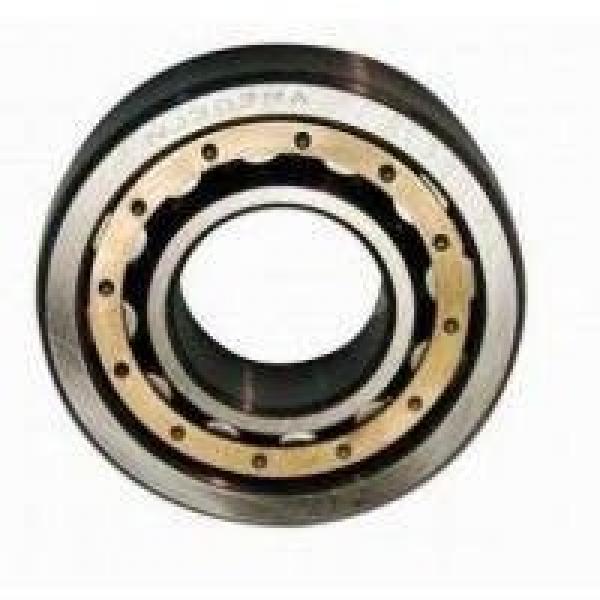 Factory SKF Cylindrical Roller Bearing Cheap Bearing Nn3020K #1 image